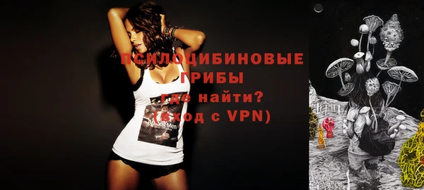 соль ск Алексеевка