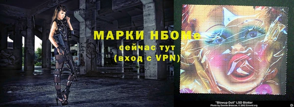 прущие грибы Абинск
