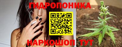 мяу мяу мука Кунгур