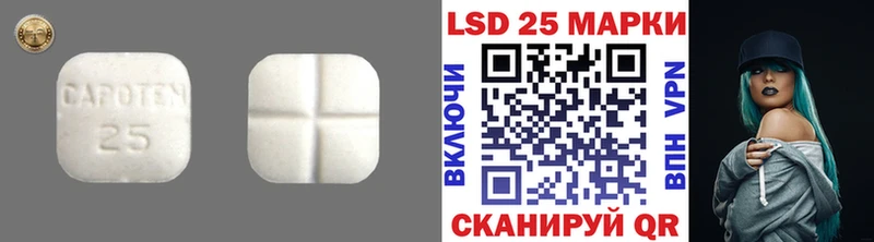 Лсд 25 экстази кислота  МЕГА маркетплейс  Камышлов  что такое наркотик 
